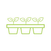 Icon of plant starts in pots.