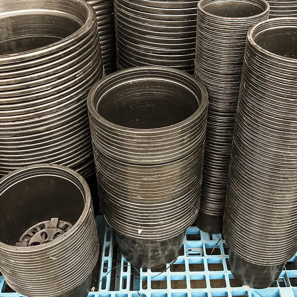 Plastic growing pot stacks.