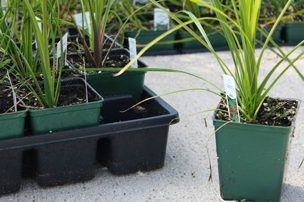 SHUTTLE™ Squares and Pot Carriers