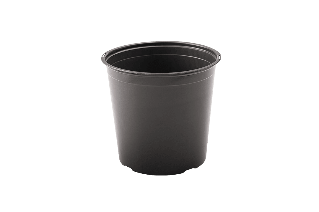 Black nursery pot.