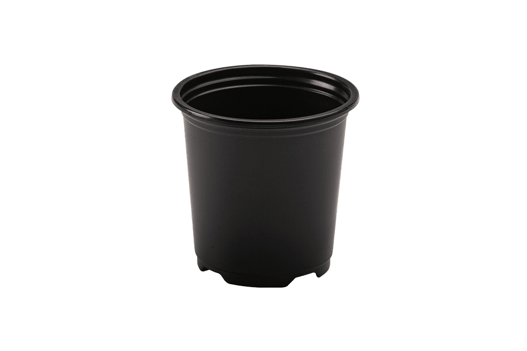 3.5" round nursery pot.