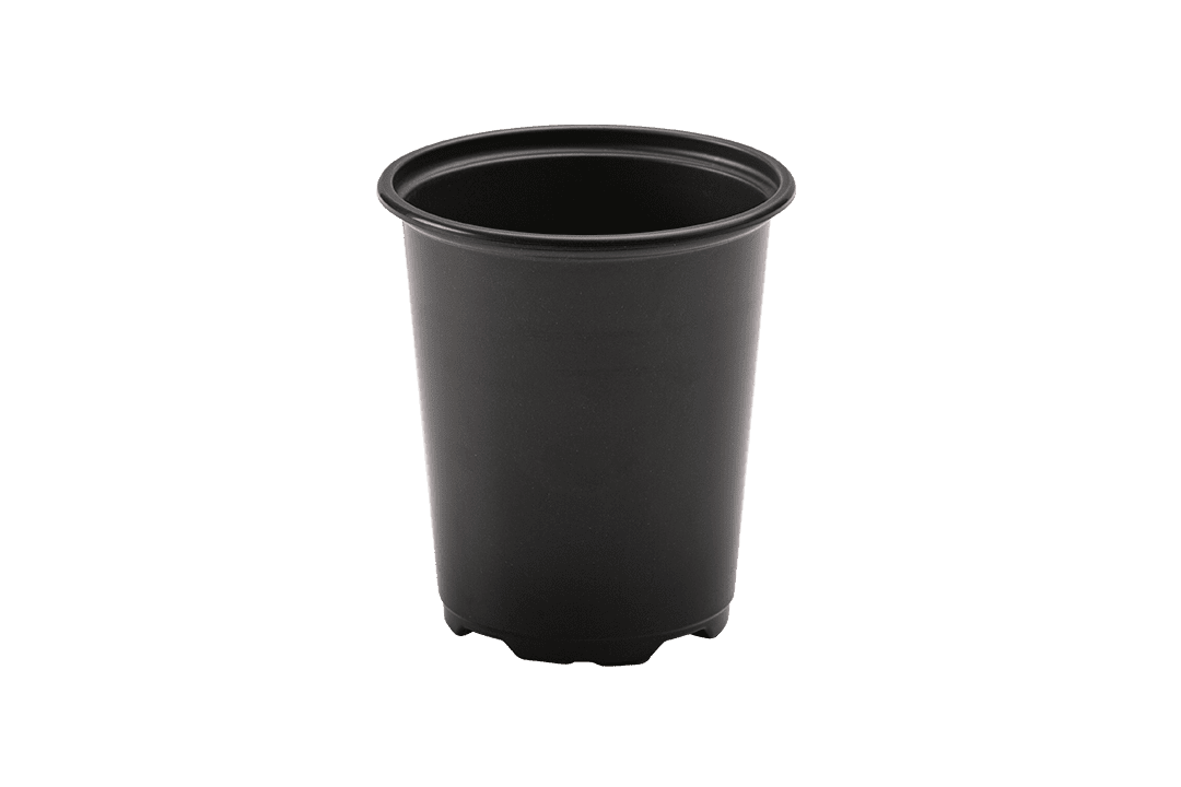 Deep nursery pot.
