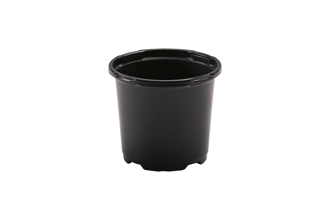 Round nursery pot.