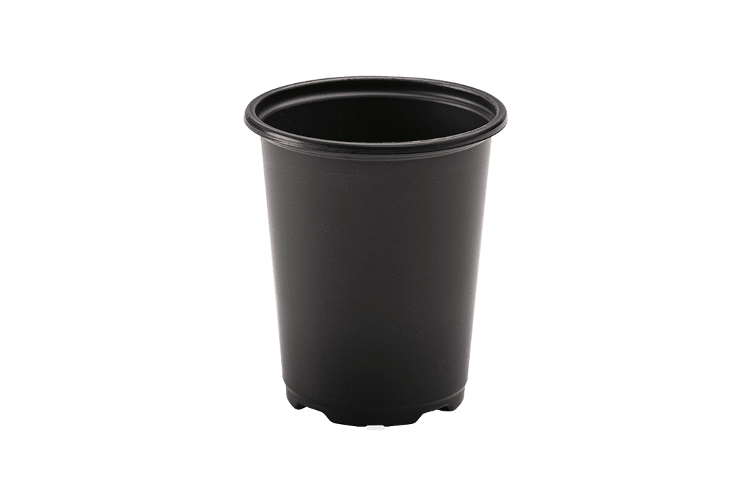 4" nursery pot.