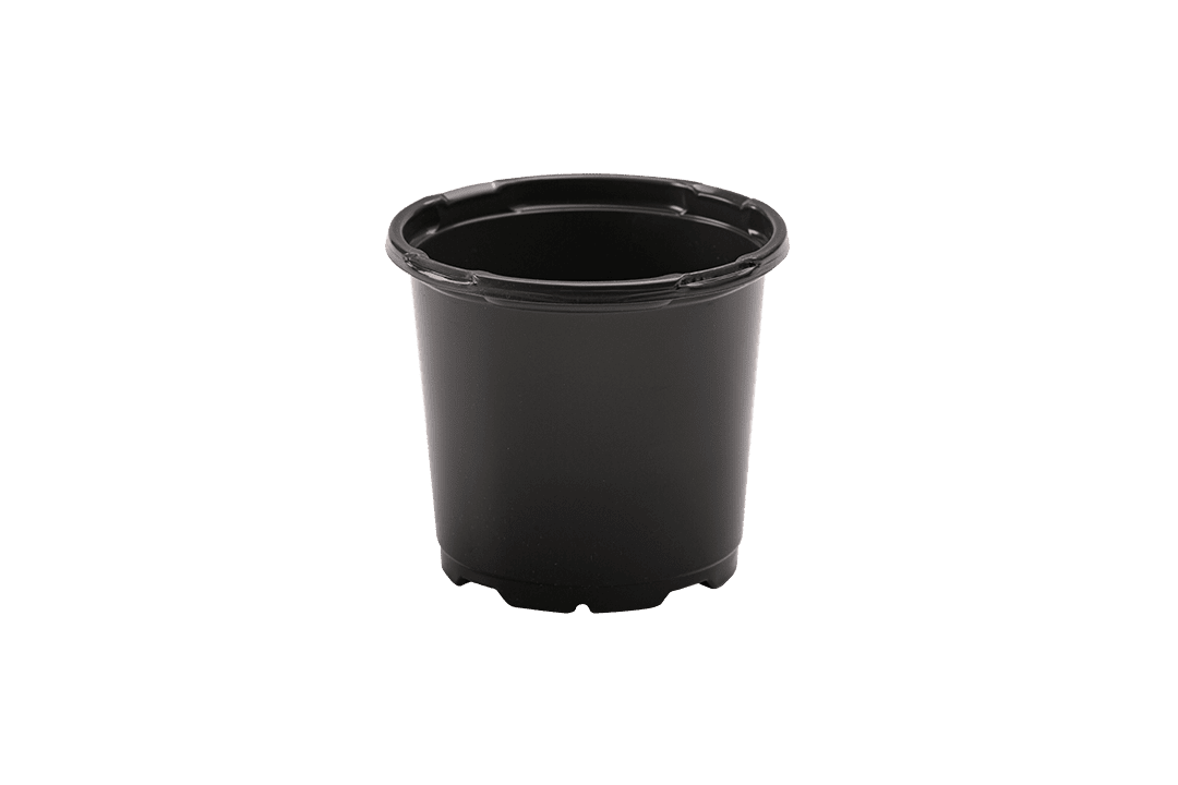 Round nursery pot.