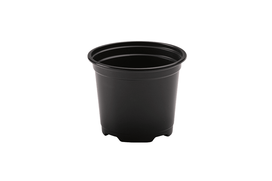 Black nursery pot.