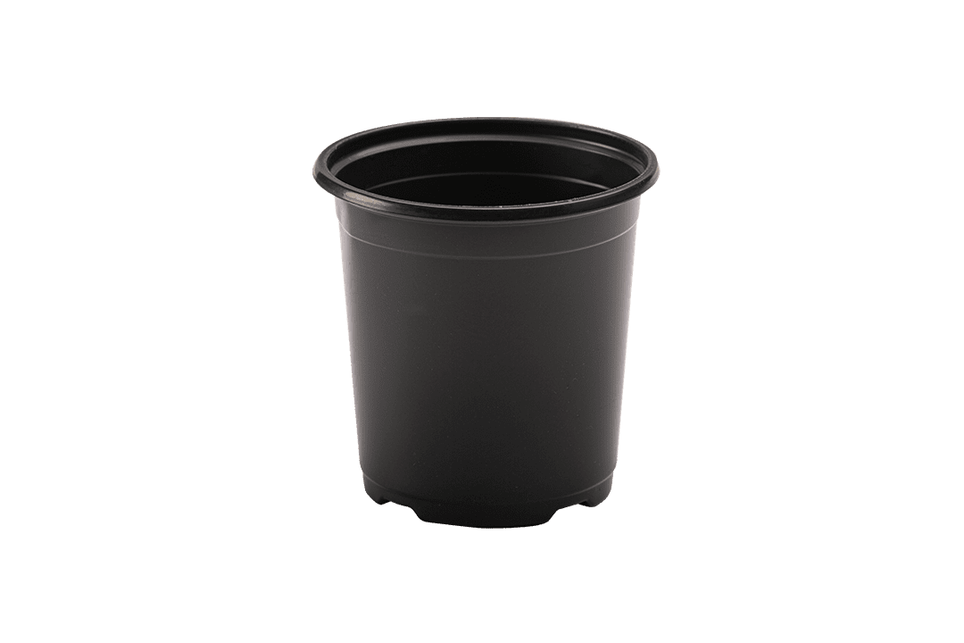 4.70" nursery pot.