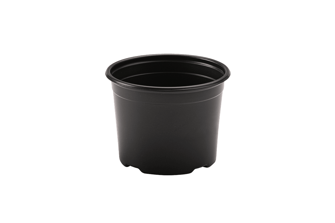 5" pot.