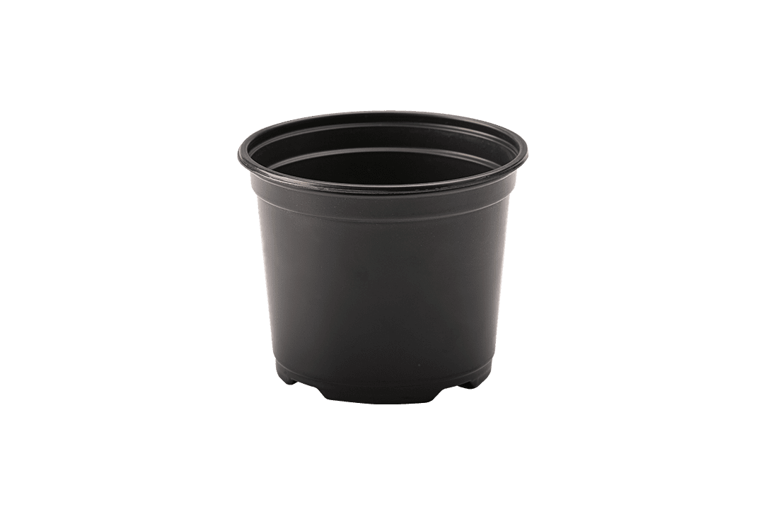 Plastic nursery pot.