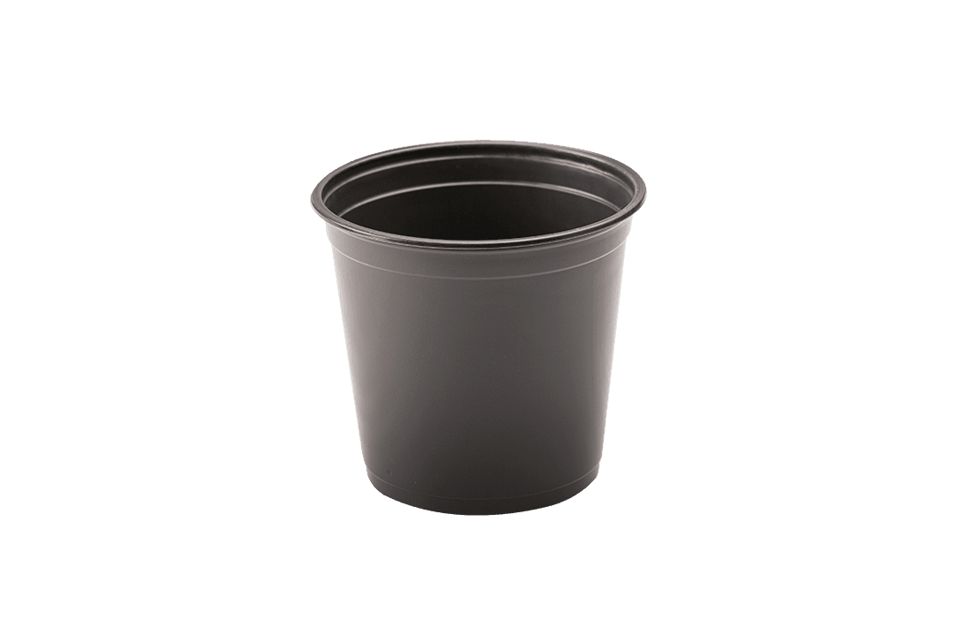 6" nursery pot.