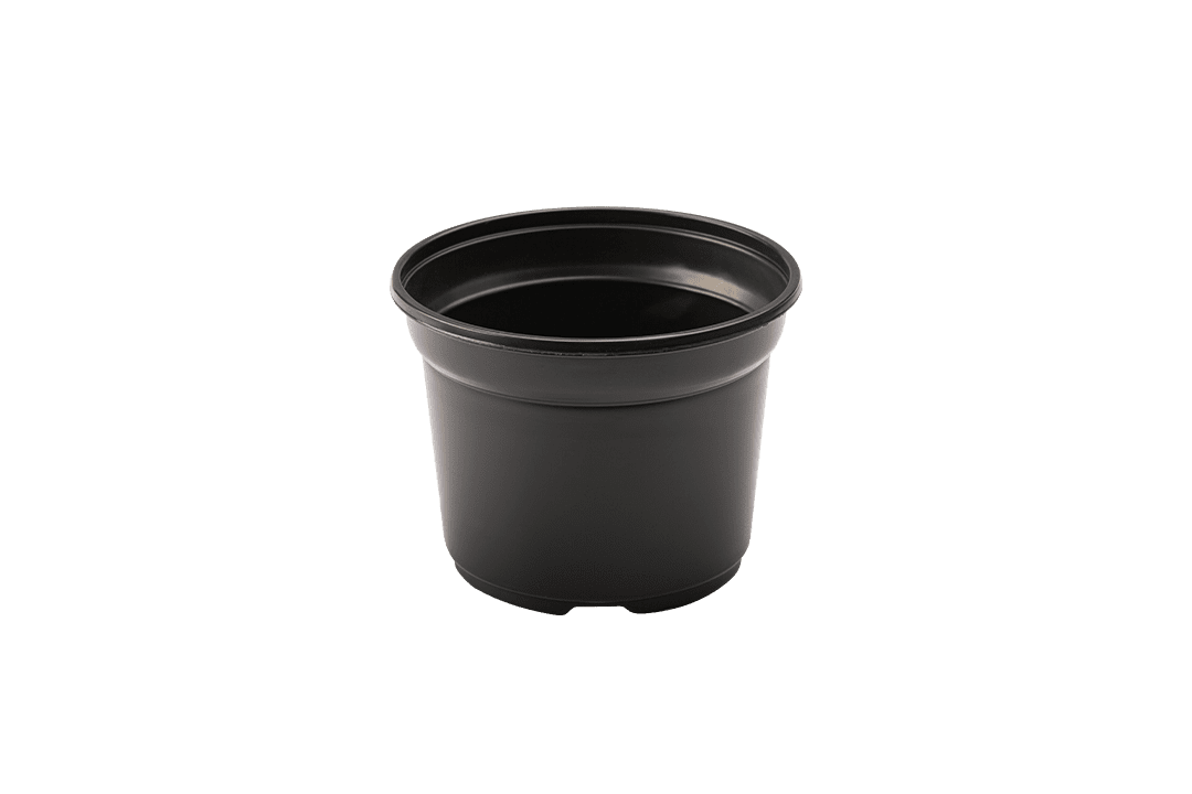 Black plastic nursery pot.