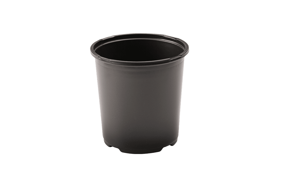 Tall nursery pot.