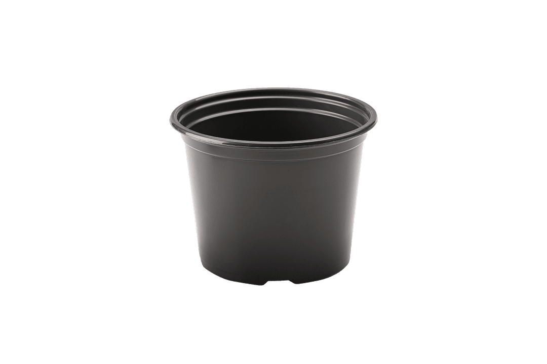 Round, black nursery pot.