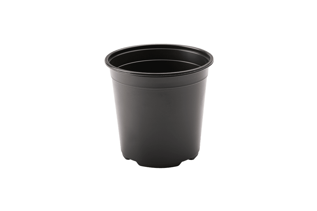 Round plastic greenhouse pot.