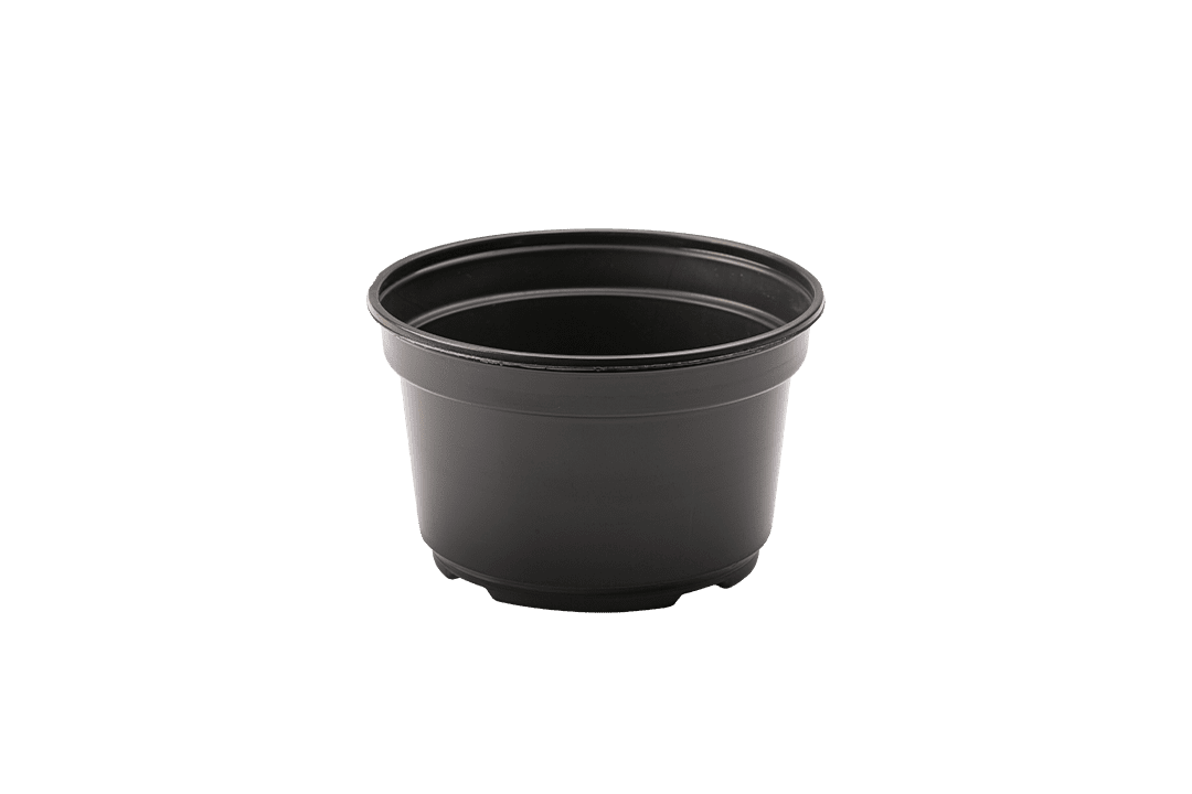 8" plastic nursery pot.