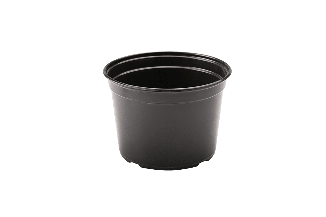 9 inch nursery pot.