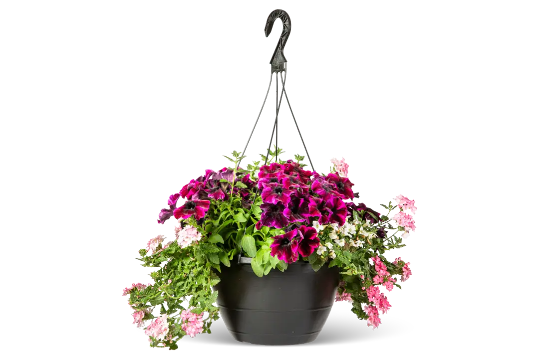 SHUTTLE™ 12" HANGING BASKET ATHENA