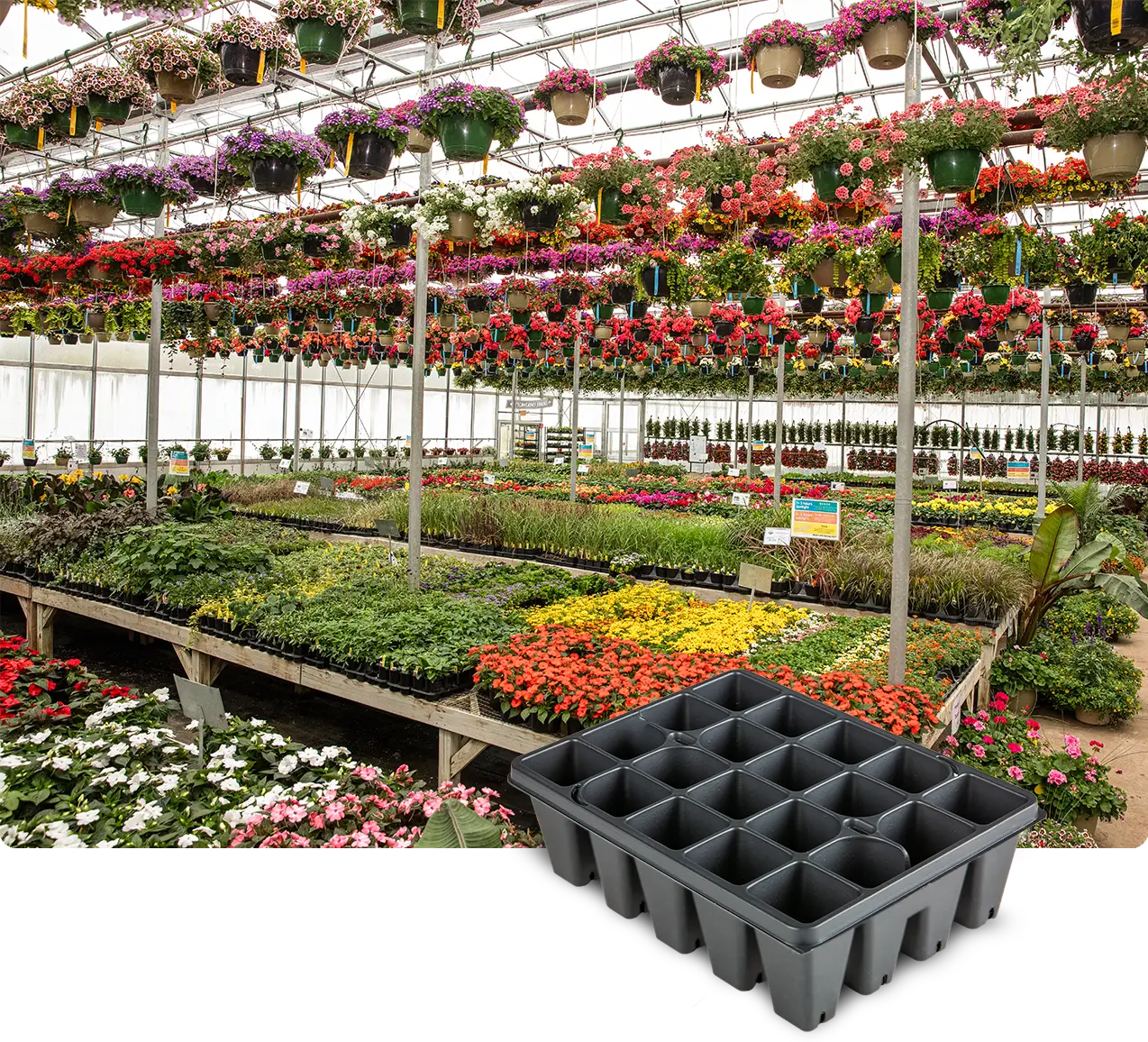 LF-HALF 20-01 slotted market tray with auto-slot handle holes, standard black, shown in a greenhouse retail plant setting.
